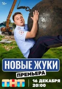 Жуки смотреть